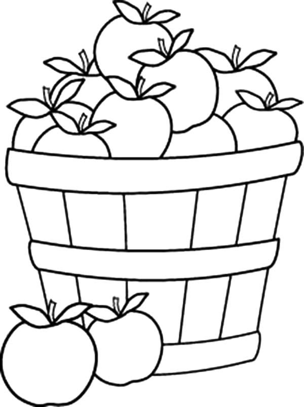 Basket of apples coloring pages apple coloring pages fall coloring sheets apple coloring