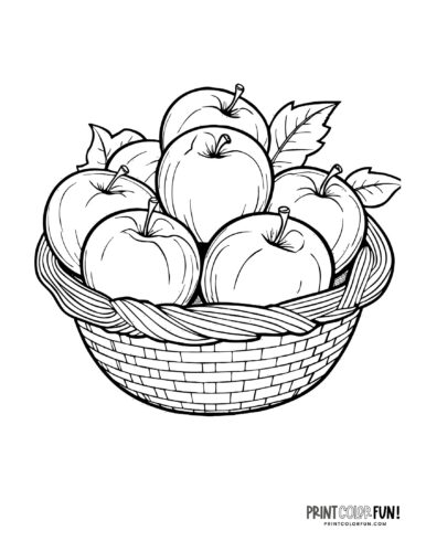 Apple clipart coloring pages to celebrate the autumn apple season at