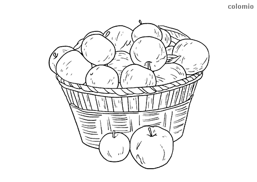 Apples coloring pages free printable apple coloring sheets