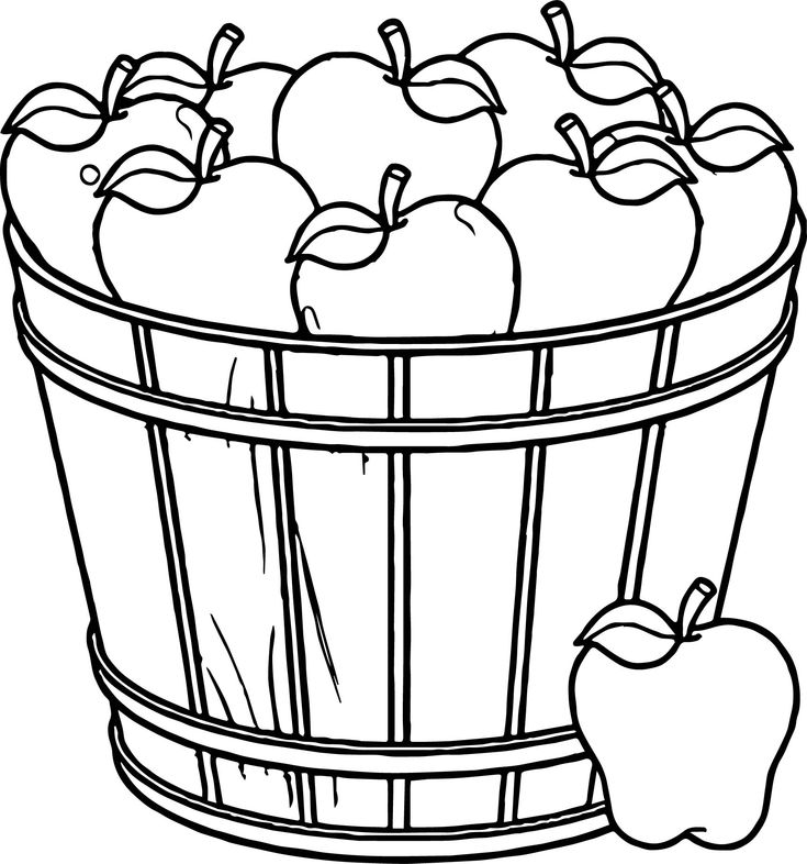 Apple basket coloring page