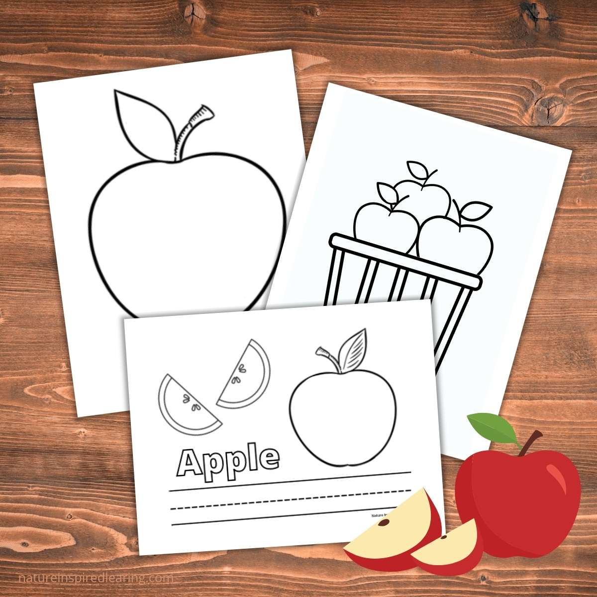 The best apple coloring pages for fall