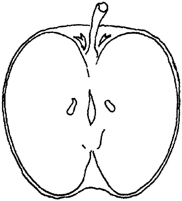 Free printable apple coloring pages for kids