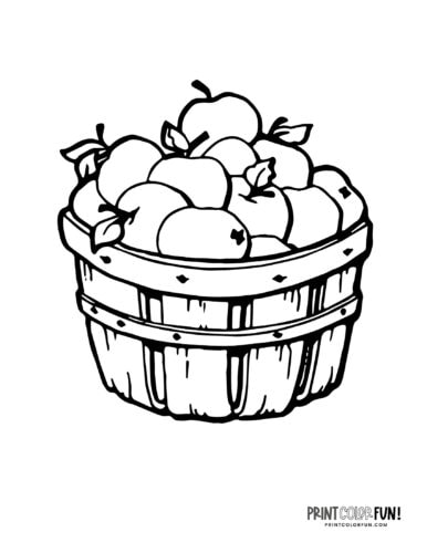 Apple clipart coloring pages to celebrate the autumn apple season at