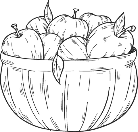 Basket with apples coloring page free printable coloring pages