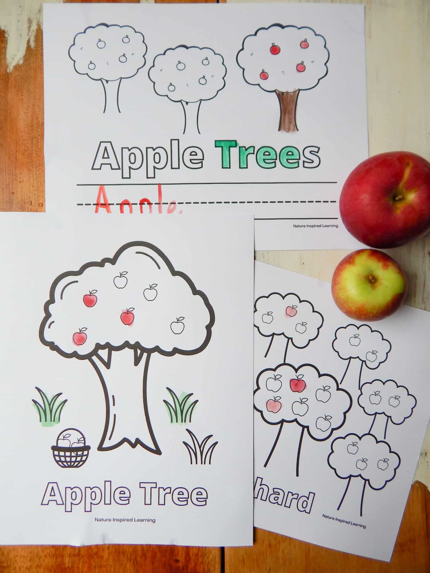 Apple tree coloring pages for kids