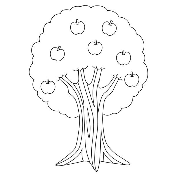 Apple tree coloring page stock illustrations royalty