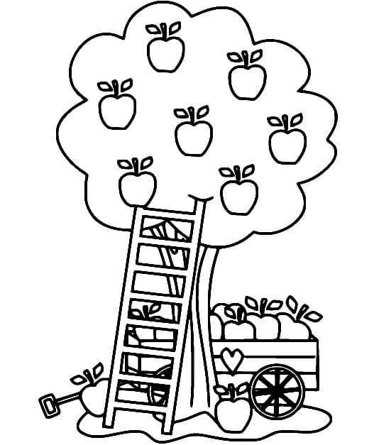 Free apple tree coloring page