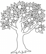 Apple tree coloring pages free coloring pages