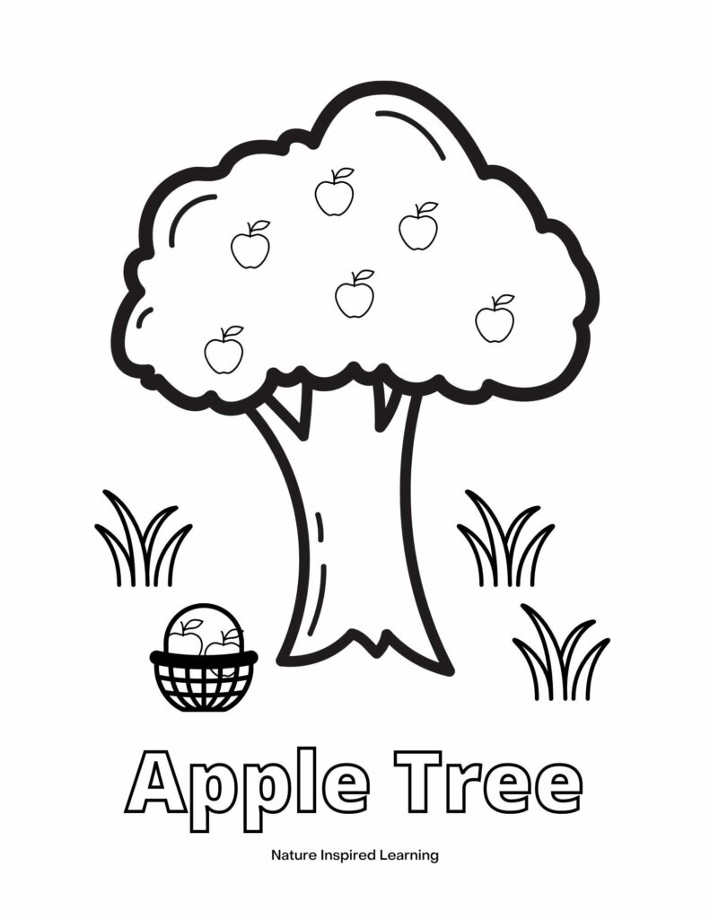 Apple tree coloring pages for kids