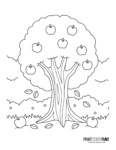 Apple clipart coloring pages to celebrate the autumn apple season at