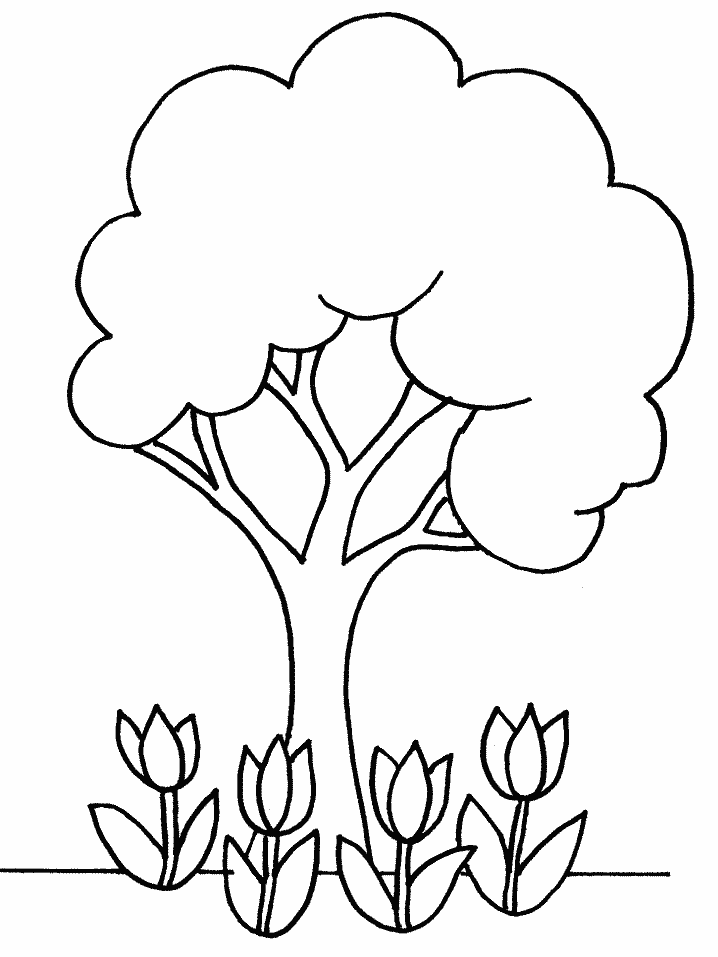 Tree coloring page crafts and worksheets for preschooltoddler and kindergarten