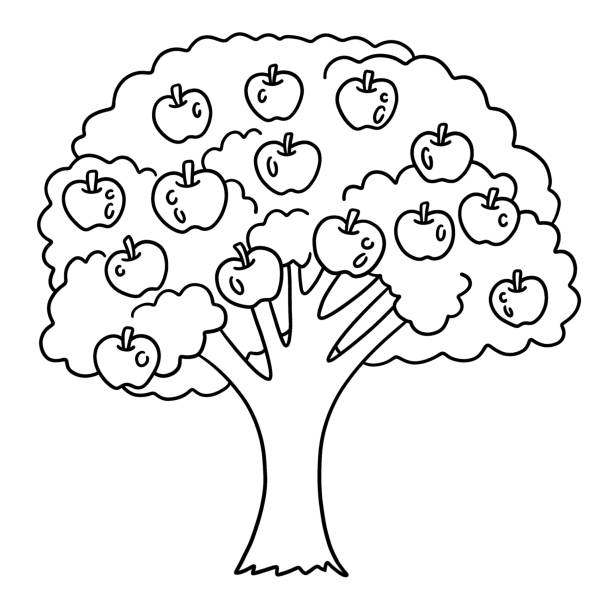 Apple tree coloring page stock illustrations royalty