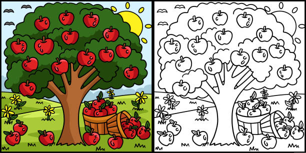 Apple tree coloring page colored illustrationåéåååæååèæé