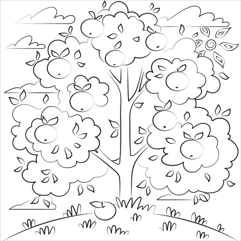 Apple tree coloring page free printable coloring pages