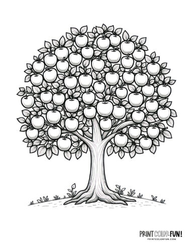 Apple clipart coloring pages to celebrate the autumn apple season at