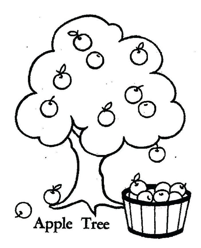 Apple tree coloring pages apple coloring pages preschool coloring pages tree coloring page