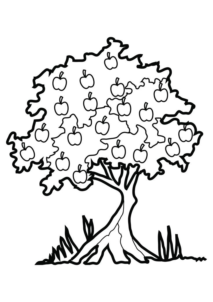 Free printable tree coloring pages for kids tree coloring page flower coloring pages apple coloring pages