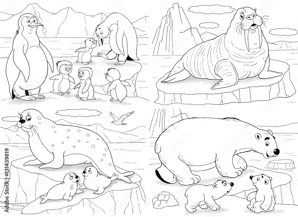 Set of cute arctic animals coloring page penguins walrus white bears seals illustration