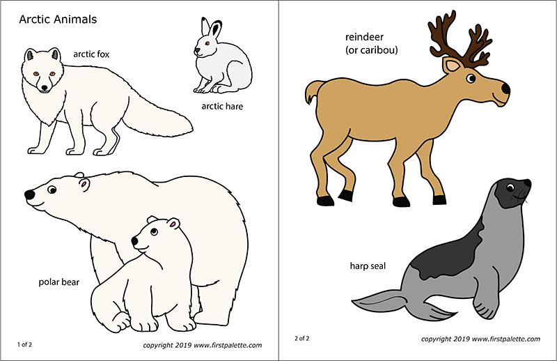 Arctic polar animals free printable templates coloring pages