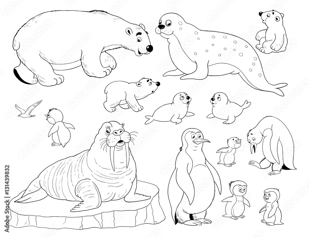 Set of cute arctic animals coloring page penguins walrus white bears seals illustration