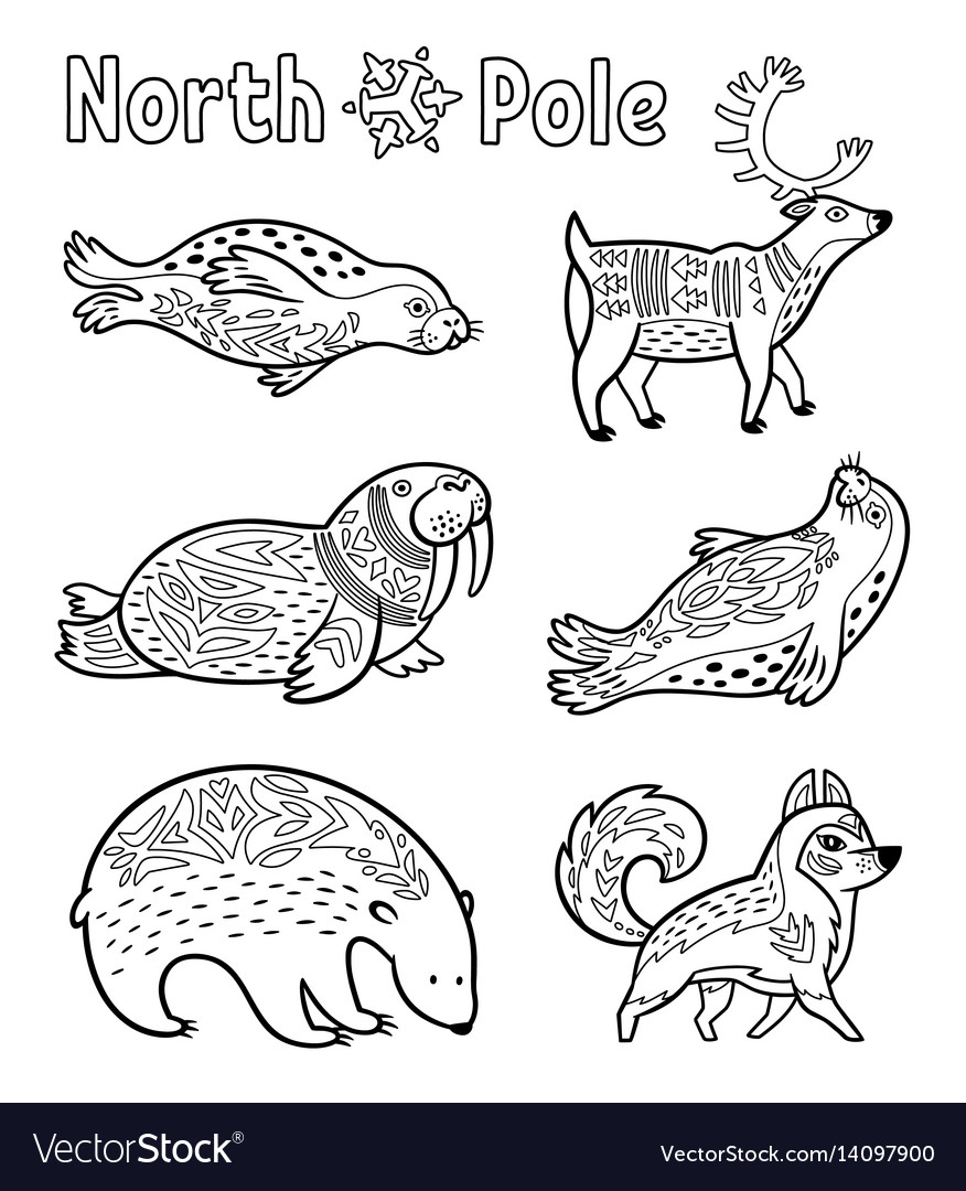 Outline arctic animals set for coloring page vector image