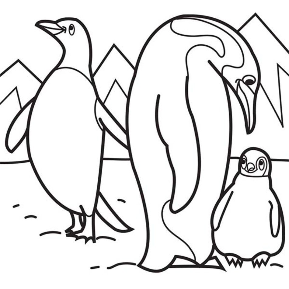 Arctic animals coloring pages by coloringpageswk on