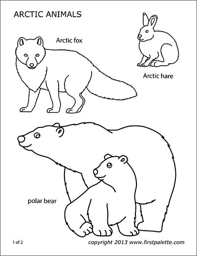 Printable arctic polar animals polar animals arctic animals printables artic animals