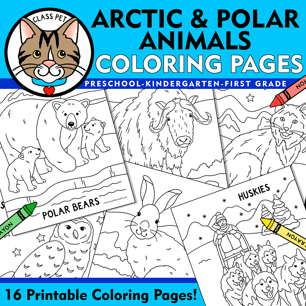 Arctic and polar animals coloring pages winter animals coloring sheets made by teachers