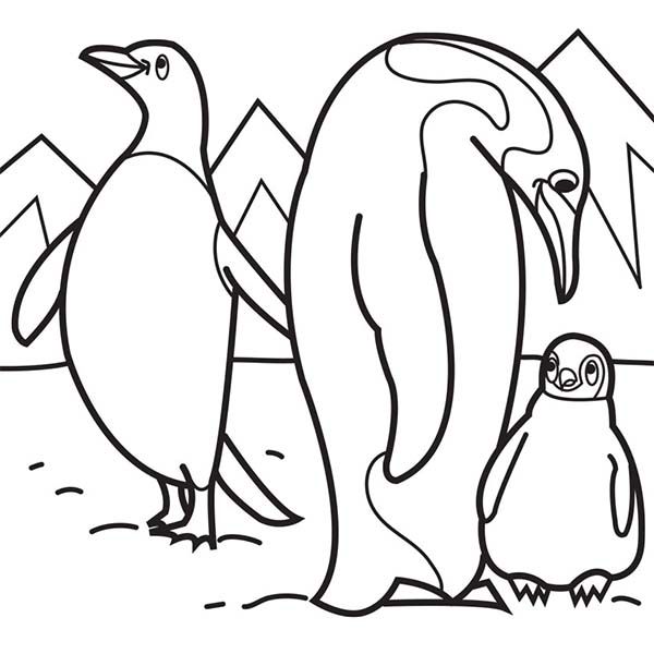 Arctic animals penguin parent teaching their baby in arctic animals coloring page penguin coloring pages animal coloring pages family coloring pages