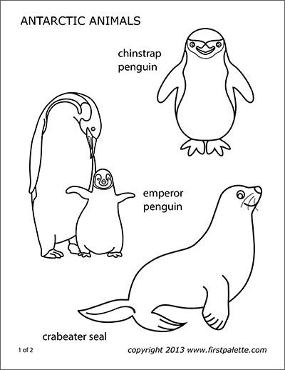 Antarctic animals coloring pages animal coloring pages antarctic animals arctic animals printables