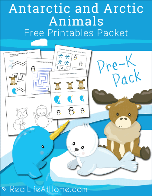 Free antarctic and arctic animals printables packet for preschool