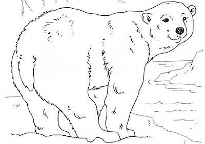 Arctic coloring pages