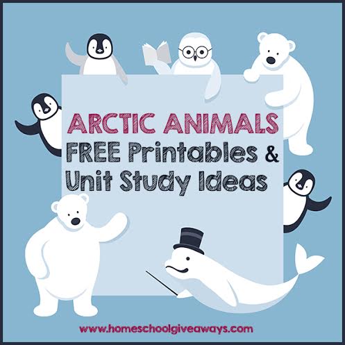 Free arctic animals printables and unit study ideas