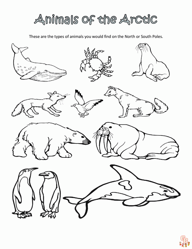 Arctic animal coloring pages free printable sheets creative fun