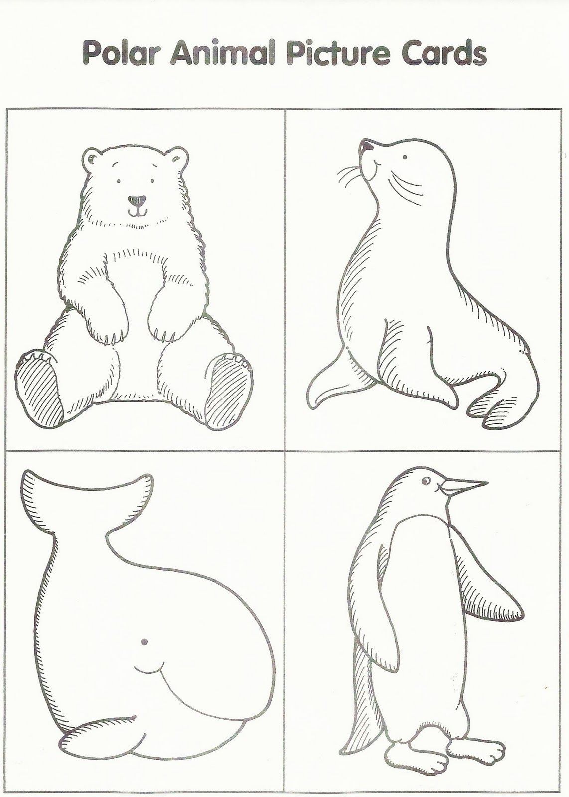 Download or print this amazing coloring page arctic animals coloring pages polar animals arctic animals artic animals