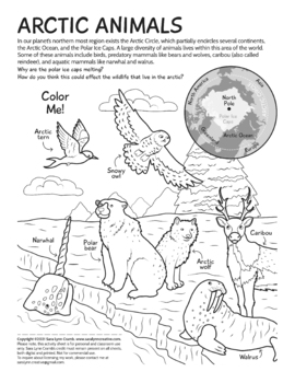 Arctic animals coloring page by sara cramb tpt