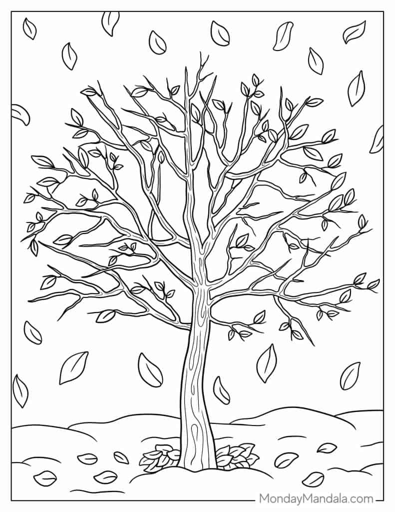 Tree coloring pages free pdf printables