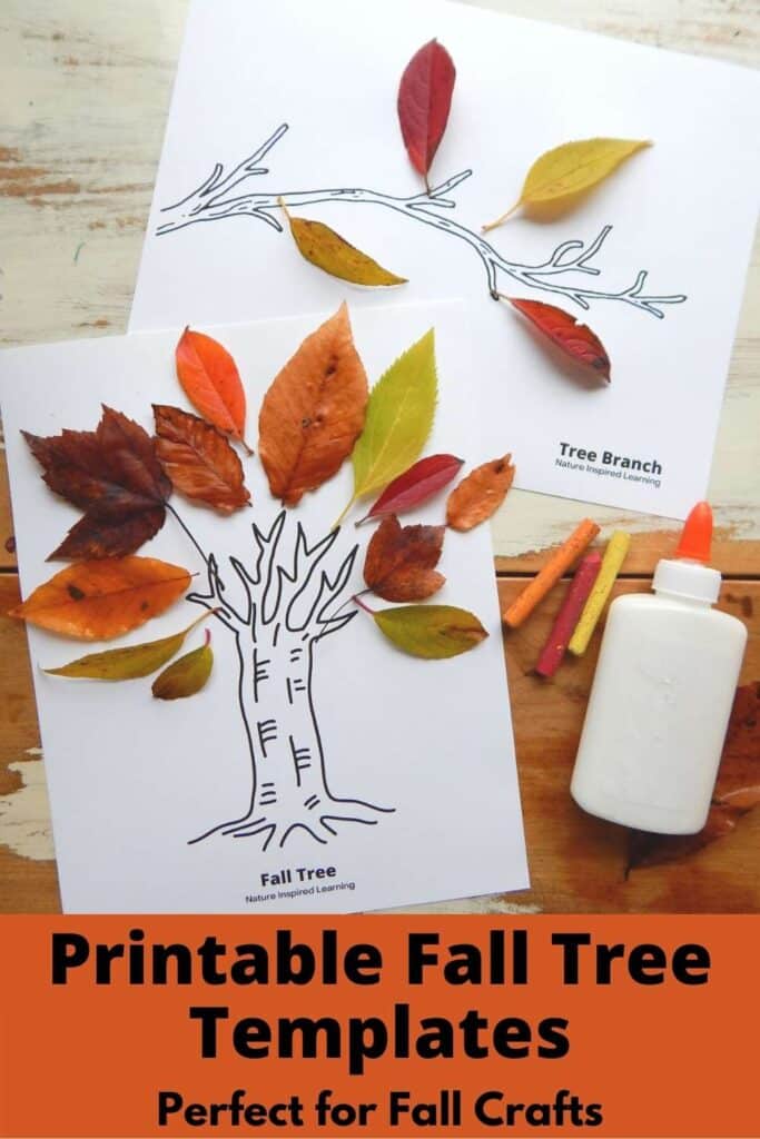 Printable fall tree coloring pages