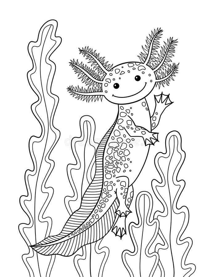 Page axolotl stock illustrations â page axolotl stock illustrations vectors clipart