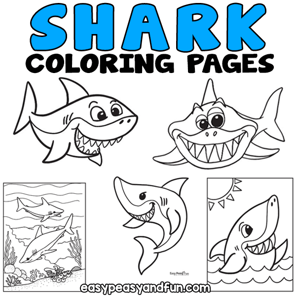 Shark coloring pages