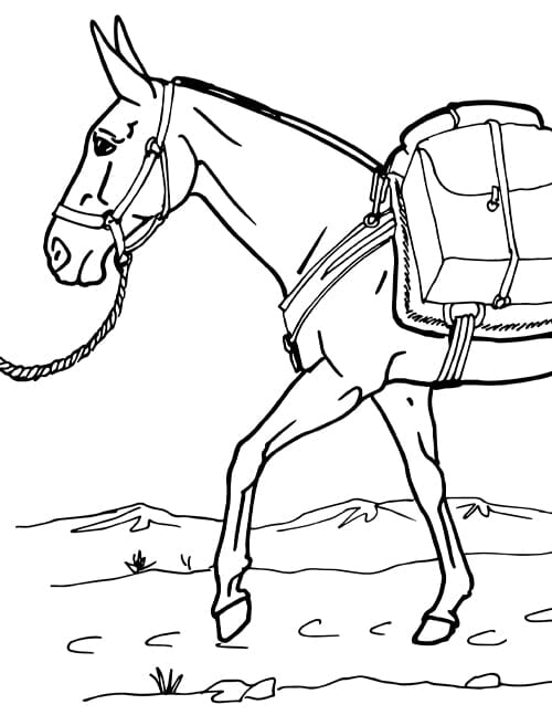 Pack mule coloring page