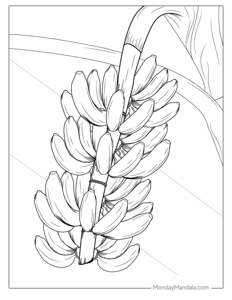 Banana coloring pages free pdf printables