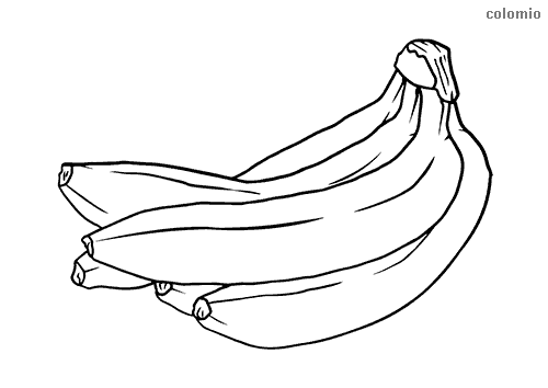 Bananas coloring pages free printable banana coloring sheets