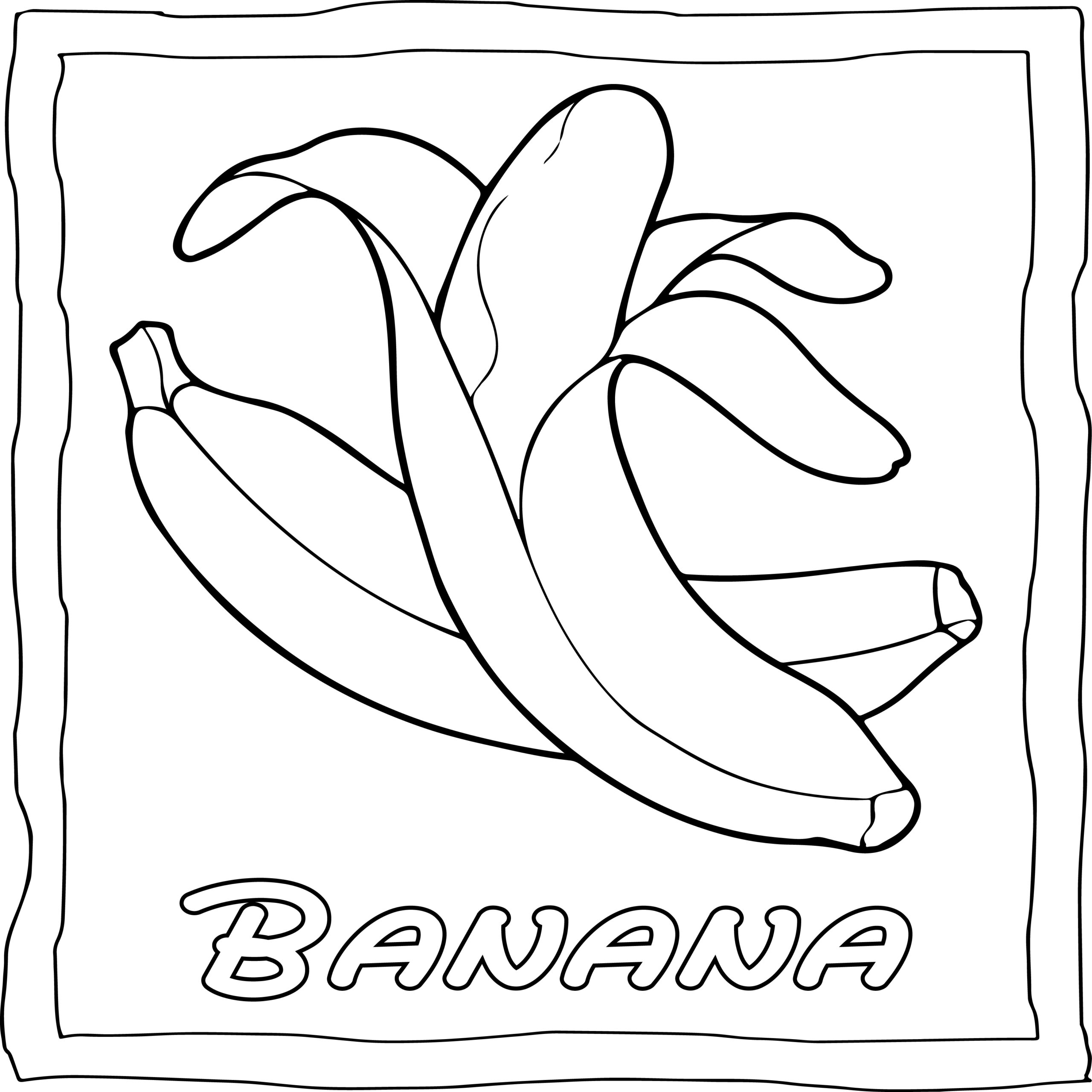 Fruits coloring book easy and fun fruits coloring pages for kids made by teachers