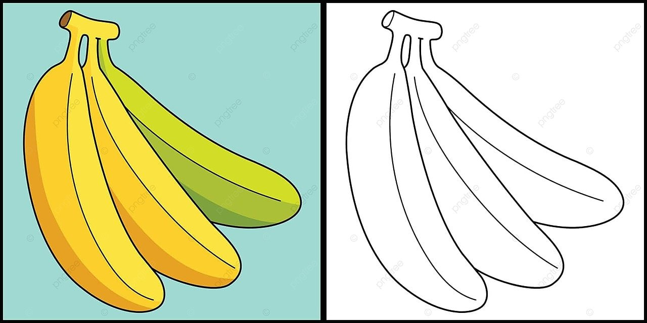 Banana fruit coloring page colored illustration line clip art vitamins vector banana drawing fruit drawing rat drawing png and vector with transparent background for free download