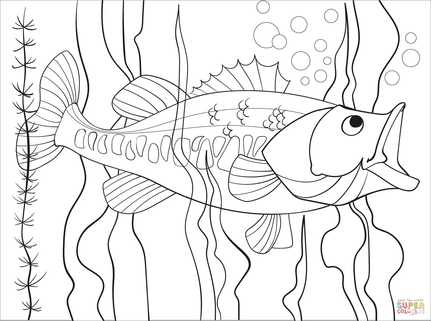 Largemouth bass coloring page free printable coloring pages