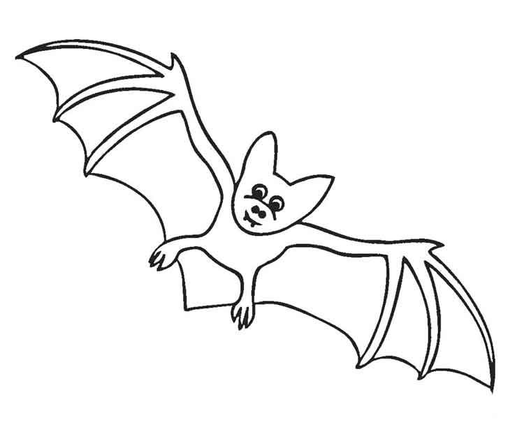 Best free printable bat coloring pages for kids bat coloring pages halloween coloring pages coloring pages