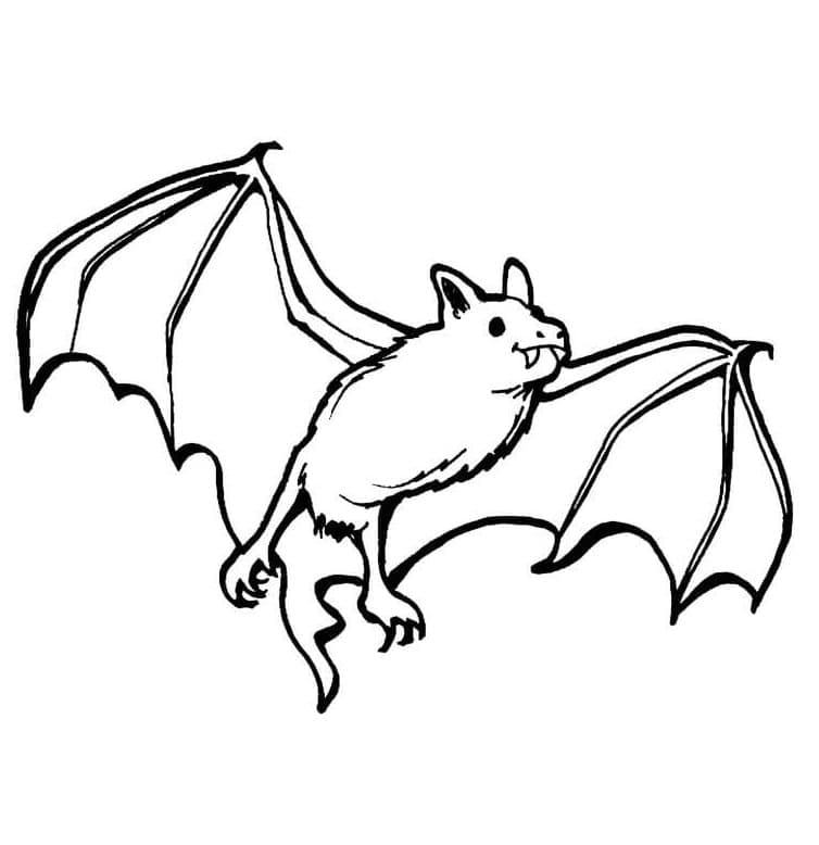 Normal bat coloring page