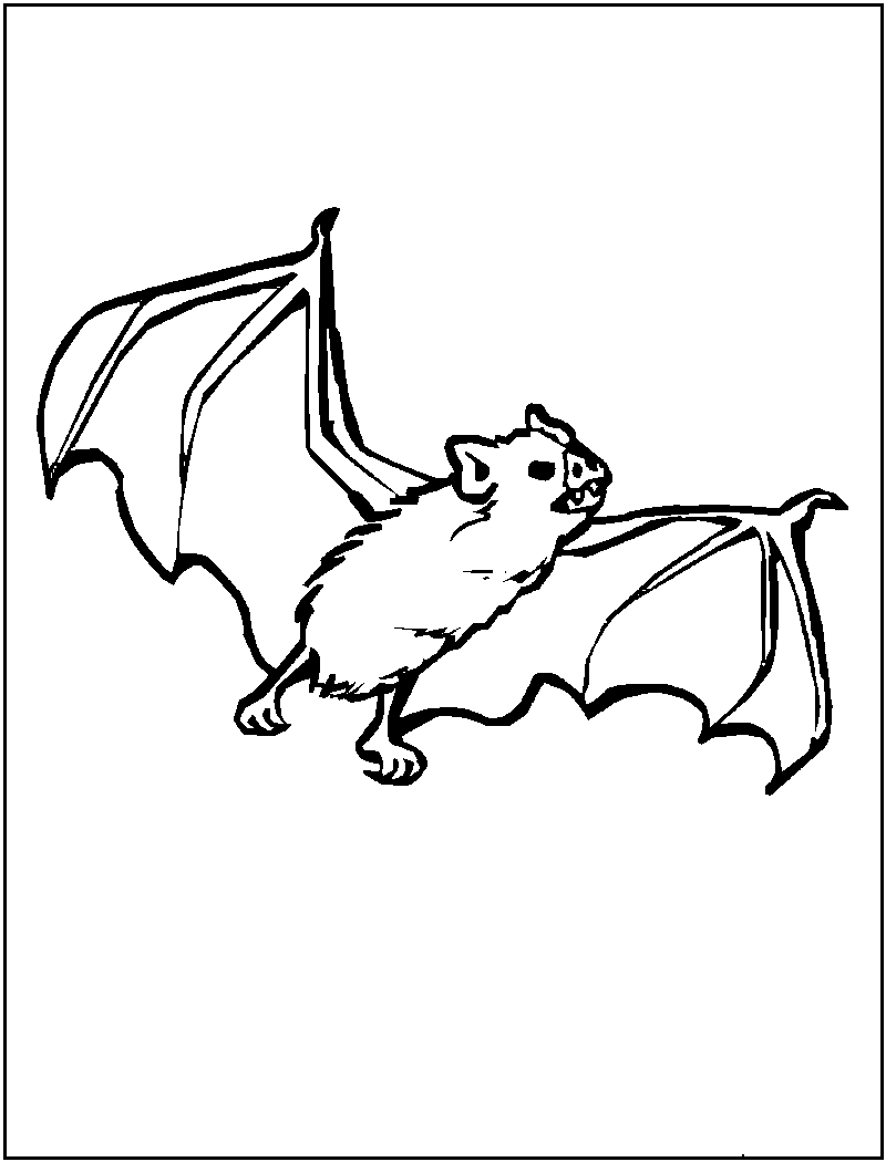 Free printable bat coloring pages for kids