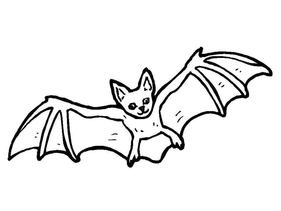 Bat colouring page bat coloring pages animal coloring pages halloween coloring pictures